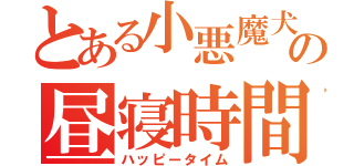 とある小悪魔犬の昼寝時間（ハッピータイム）