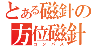 とある磁針の方位磁針（コンパス）