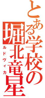 とある学校の堀北竜星（ルドヴィカ）