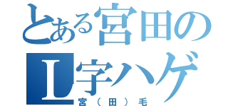 とある宮田のＬ字ハゲ（宮（田）毛）