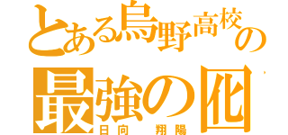 とある烏野高校の最強の囮（日向 翔陽）