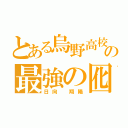 とある烏野高校の最強の囮（日向 翔陽）