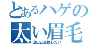 とあるハゲの太い眉毛（出口と交換したい）