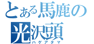 とある馬鹿の光沢頭（ハゲアタマ）