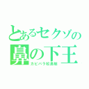 とあるセクゾの鼻の下王子（カピバラ松島聡）