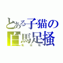 とある子猫の白馬足掻（私は私）