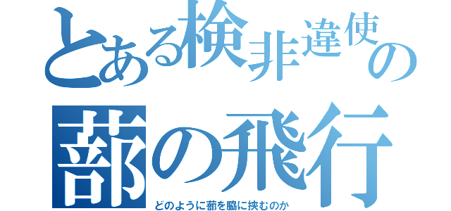 とある検非違使の蔀の飛行（どのように蔀を脇に挟むのか）