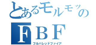 とあるモルモットのＦＢＦ（フルバレッドファイア）