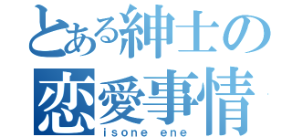 とある紳士の恋愛事情（ｉｓｏｎｅ ｅｎｅ）