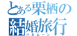 とある栗栖の結婚旅行（ハネムーン）