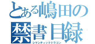 とある嶋田の禁書目録（シマンティックドラゴン）