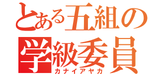 とある五組の学級委員（カナイアヤカ）