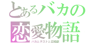 とあるバカの恋愛物語（バカとテストと召喚獣）