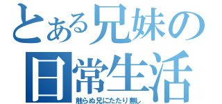 とある兄妹の日常生活（触らぬ兄にたたり無し）