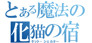 とある魔法の化猫の宿（ケット・シェルター）