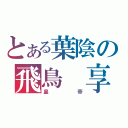 とある葉陰の飛鳥　享（皇帝）