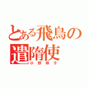 とある飛鳥の遣隋使（小野妹子）