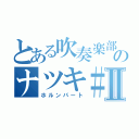 とある吹奏楽部のナツキ＃Ⅱ（ホルンパート）