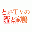 とあるＴＶの猫と家鴨（アフラック）