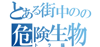 とある街中のの危険生物（トラ猫）