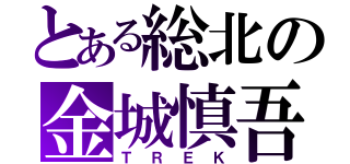 とある総北の金城慎吾（ＴＲＥＫ）