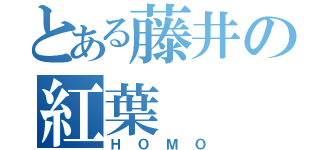 とある藤井の紅葉（ＨＯＭＯ）