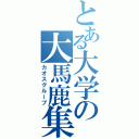 とある大学の大馬鹿集団（カオスグループ）