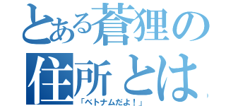 とある蒼狸の住所とは（「ベトナムだよ！」）