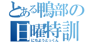 とある鴨部の日曜特訓（にちようとっくん）