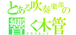 とある吹奏楽部の響く木管（クラリネット）