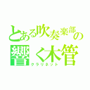 とある吹奏楽部の響く木管（クラリネット）