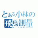 とある小林の飛鳥測量（ニート生活）