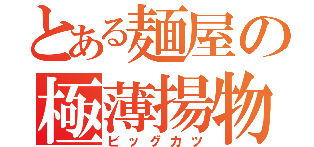 とある麺屋の極薄揚物（ビッグカツ）