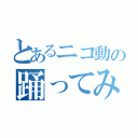 とあるニコ動の踊ってみた（）