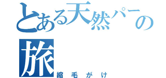 とある天然パーマの旅（縮毛がけ）