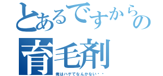 とあるですからの育毛剤（俺はハゲでなんかない‼︎）