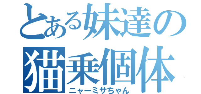 とある妹達の猫乗個体（ニャーミサちゃん）