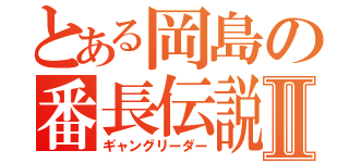 とある岡島の番長伝説Ⅱ（ギャングリーダー）