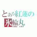 とある紅蓮の氷輪丸（日番谷　冬獅郎）