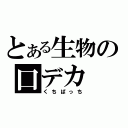 とある生物の口デカ（くちぱっち）