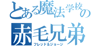 とある魔法学校の赤毛兄弟（フレッド＆ジョージ）