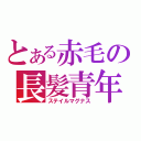 とある赤毛の長髪青年（ステイルマグナス）