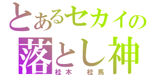 とあるセカイの落とし神（桂木　桂馬）