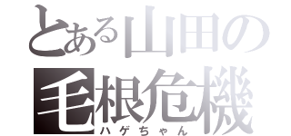 とある山田の毛根危機（ハゲちゃん）