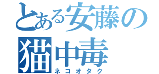 とある安藤の猫中毒（ネコオタク）