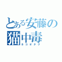 とある安藤の猫中毒（ネコオタク）