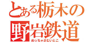 とある栃木の野岩鉄道（めっちゃさむいとこ）