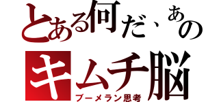 とある何だ、あのキムチ脳（ブーメラン思考）