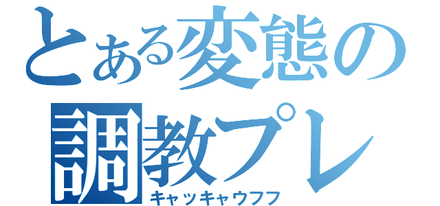 とある変態の調教プレイ（キャッキャウフフ）