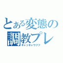 とある変態の調教プレイ（キャッキャウフフ）